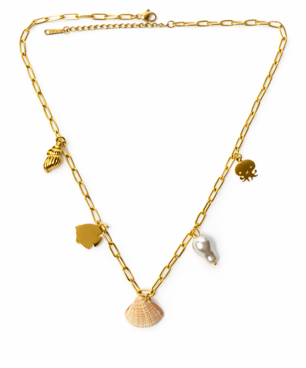 Untitled design - 2026-01-07T180822.012