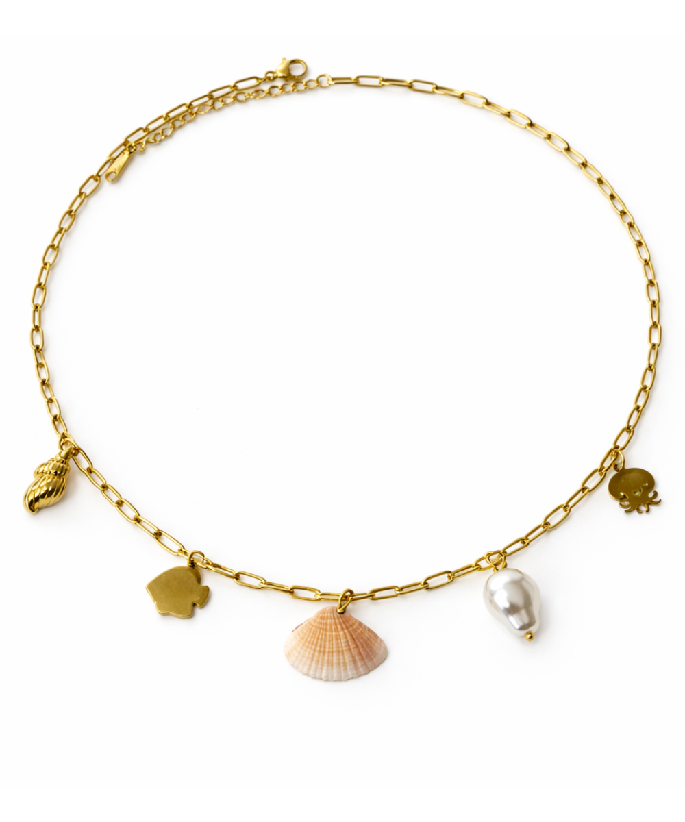 Untitled design - 2026-01-07T180901.782