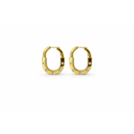 Crystal Gold Hoop Earrings